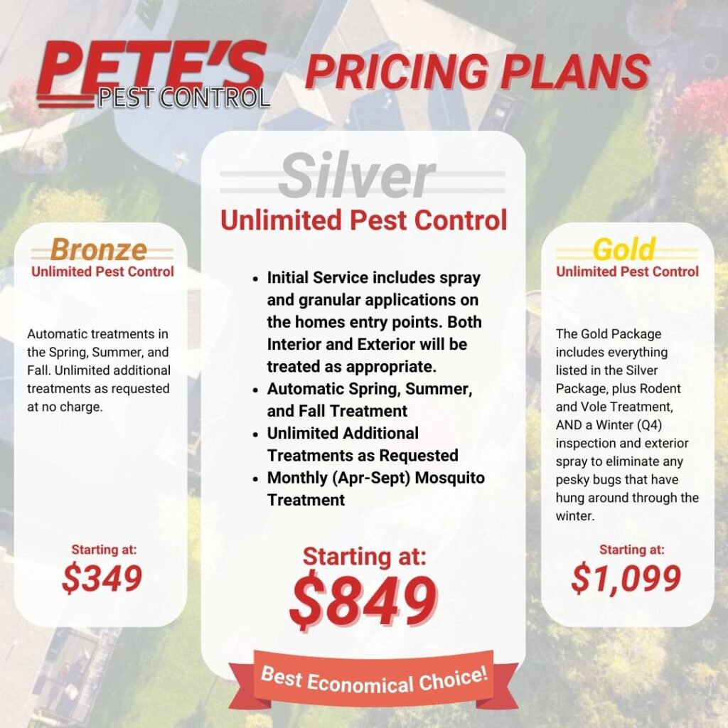 Pricing Plans New